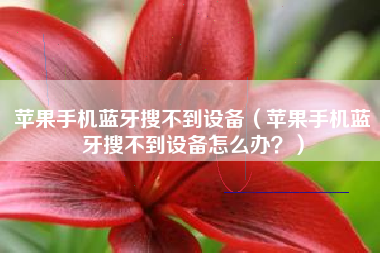 苹果手机蓝牙搜不到设备(苹果手机蓝牙搜不到设备怎么办?)