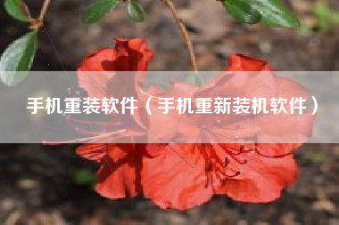 手机重装软件(手机重新装机软件)