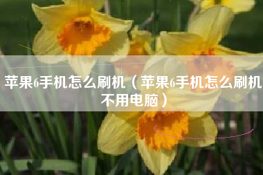 苹果6手机怎么刷机(苹果6手机怎么刷机不用电脑)