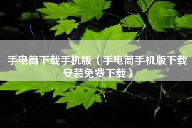 手电筒下载手机版(手电筒手机版下载安装免费下载)