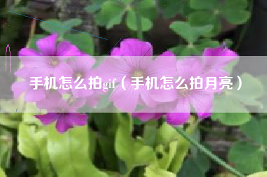 手机怎么拍gif(手机怎么拍月亮)