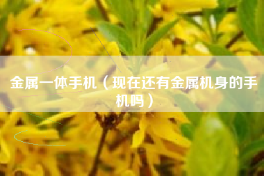 金属一体手机(现在还有金属机身的手机吗)
