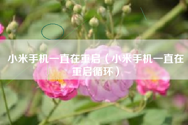 小米手机一直在重启(小米手机一直在重启循环)