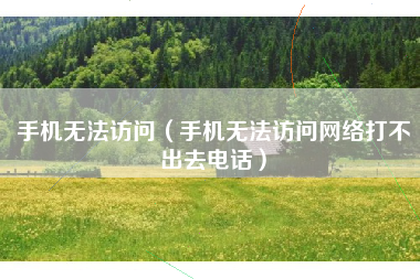 手机无法访问(手机无法访问网络打不出去电话)
