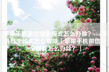苹果手机微信安全模式怎么办除?vivo手机安全模式怎么解除「苹果手机微信安全模式怎么办除?」